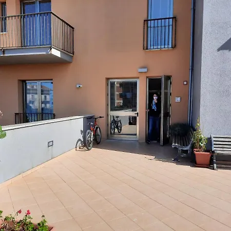 Moma House *